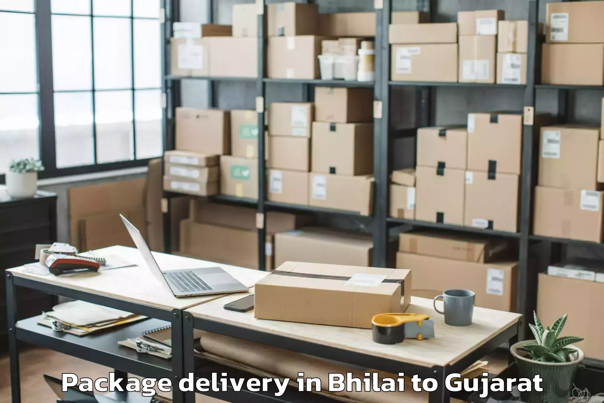 Hassle-Free Bhilai to Palitana Package Delivery